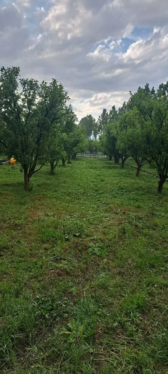 باغ ویلایی|فروش زمین و ملک کلنگی|مشگین شهر, |دیوار