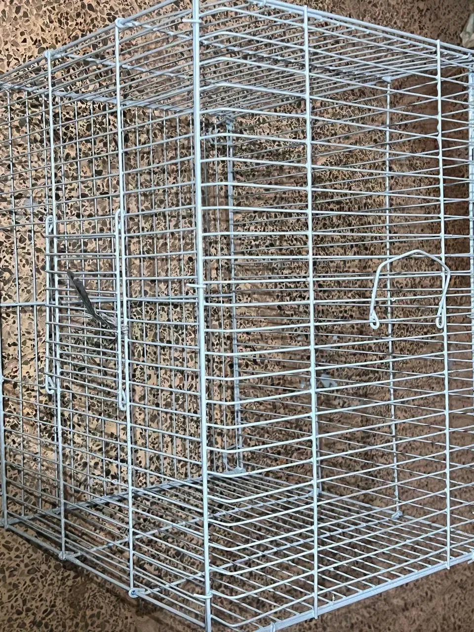 قفس|لوازم جانبی حیوانات|قشم, |دیوار