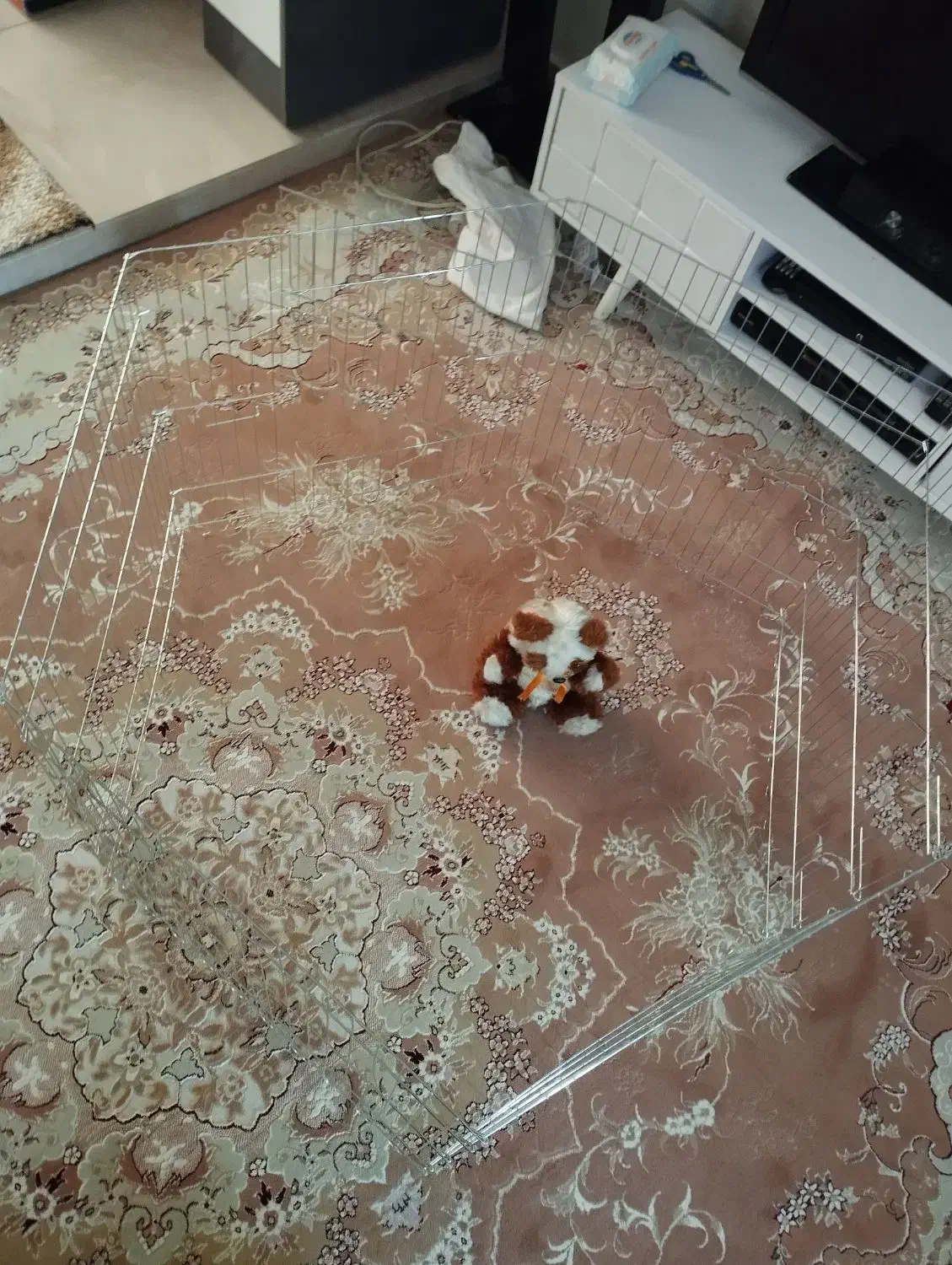 پارک سگ|لوازم جانبی حیوانات|تهران, خانی آباد نو جنوبی|دیوار