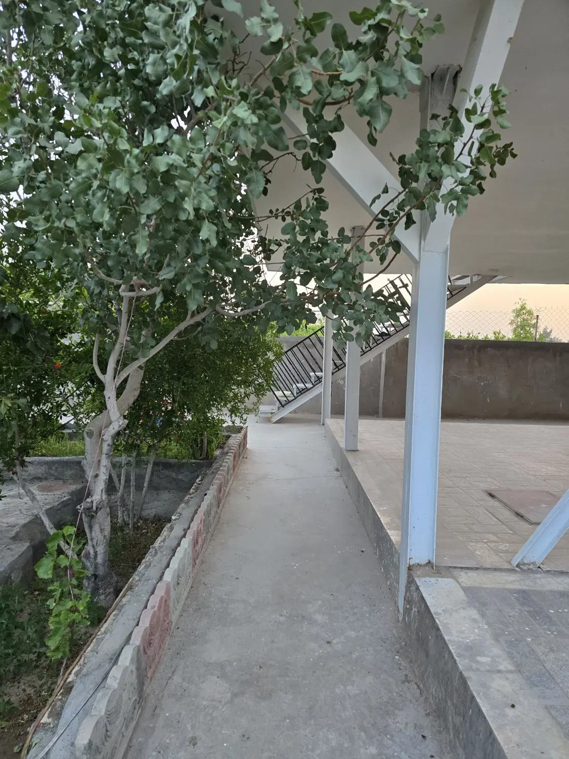 تصویر 12