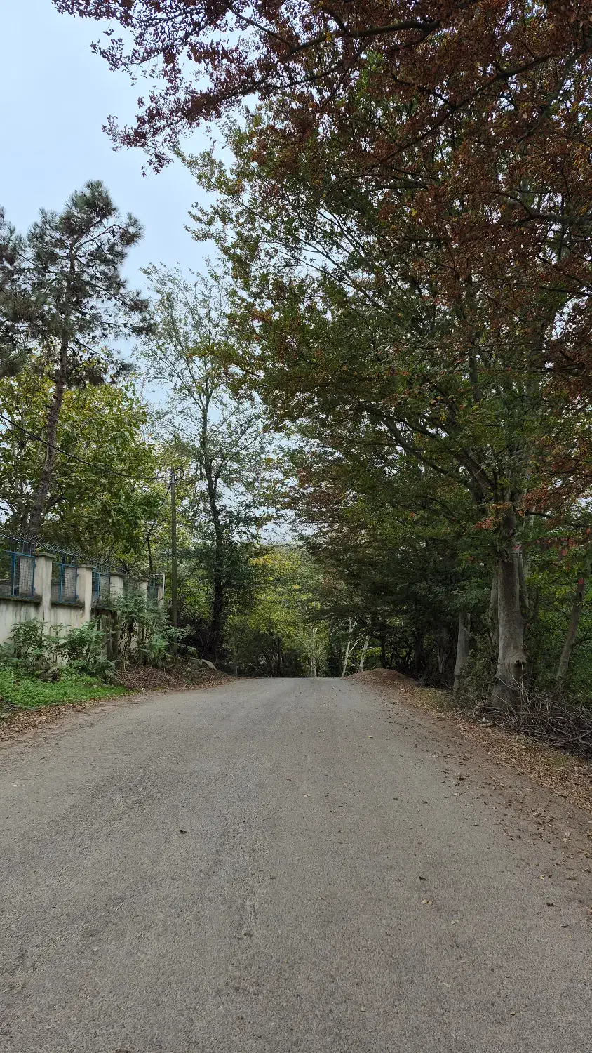 زمین باغی|فروش زمین و ملک کلنگی|تهران, استاد معین|دیوار