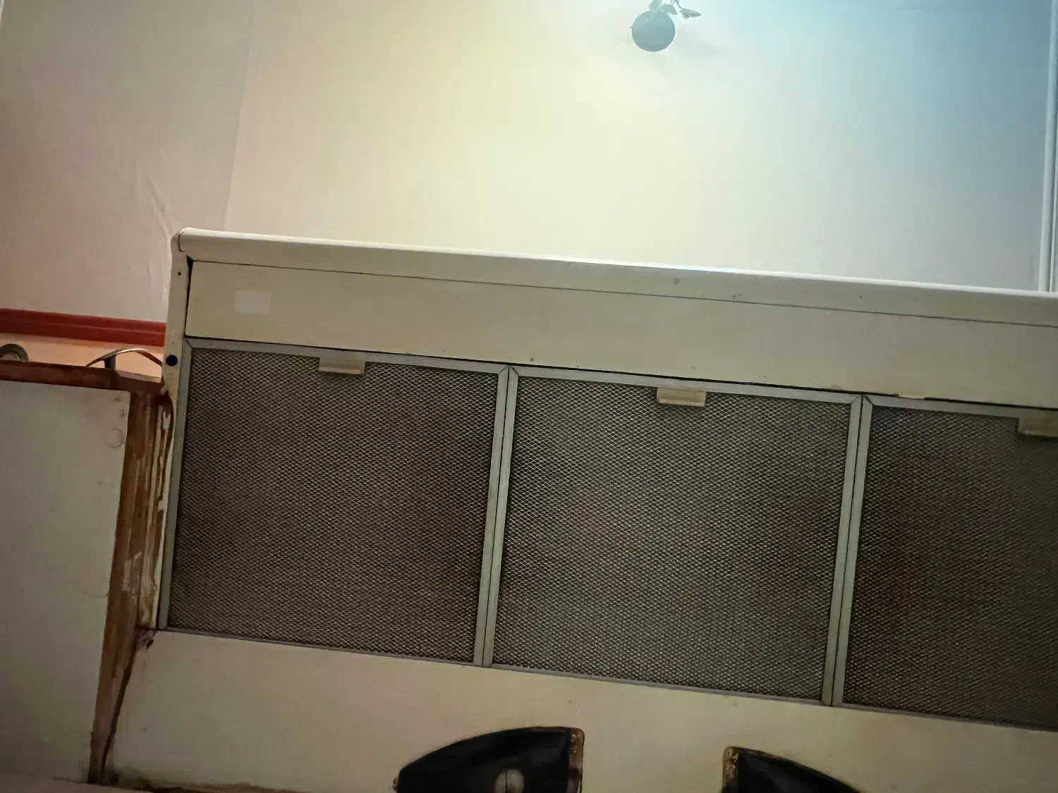 هود مکث|هود|رشت, کاکتوس|دیوار