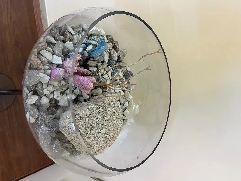 تنگ ماهی|صنایع دستی و سایر لوازم تزئینی|تهران, مشیریه|دیوار