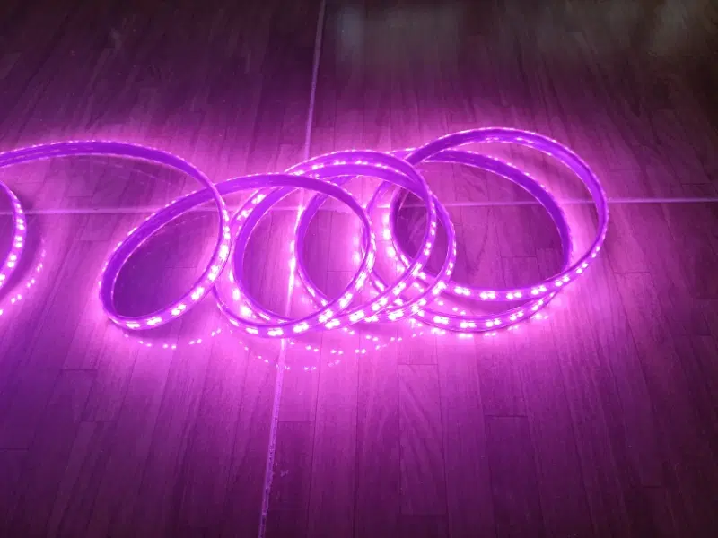LED بنفش|ریسه و چراغ تزئینی|شیراز, دشت چنار|دیوار