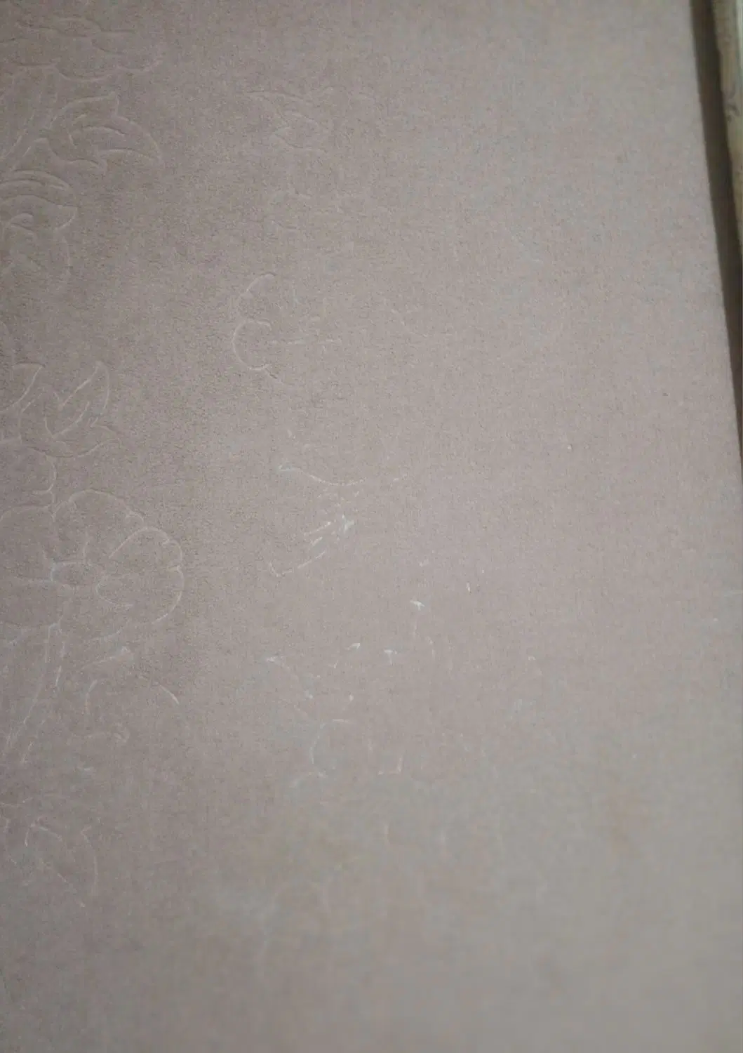 موکت|موکت|گرگان, |دیوار