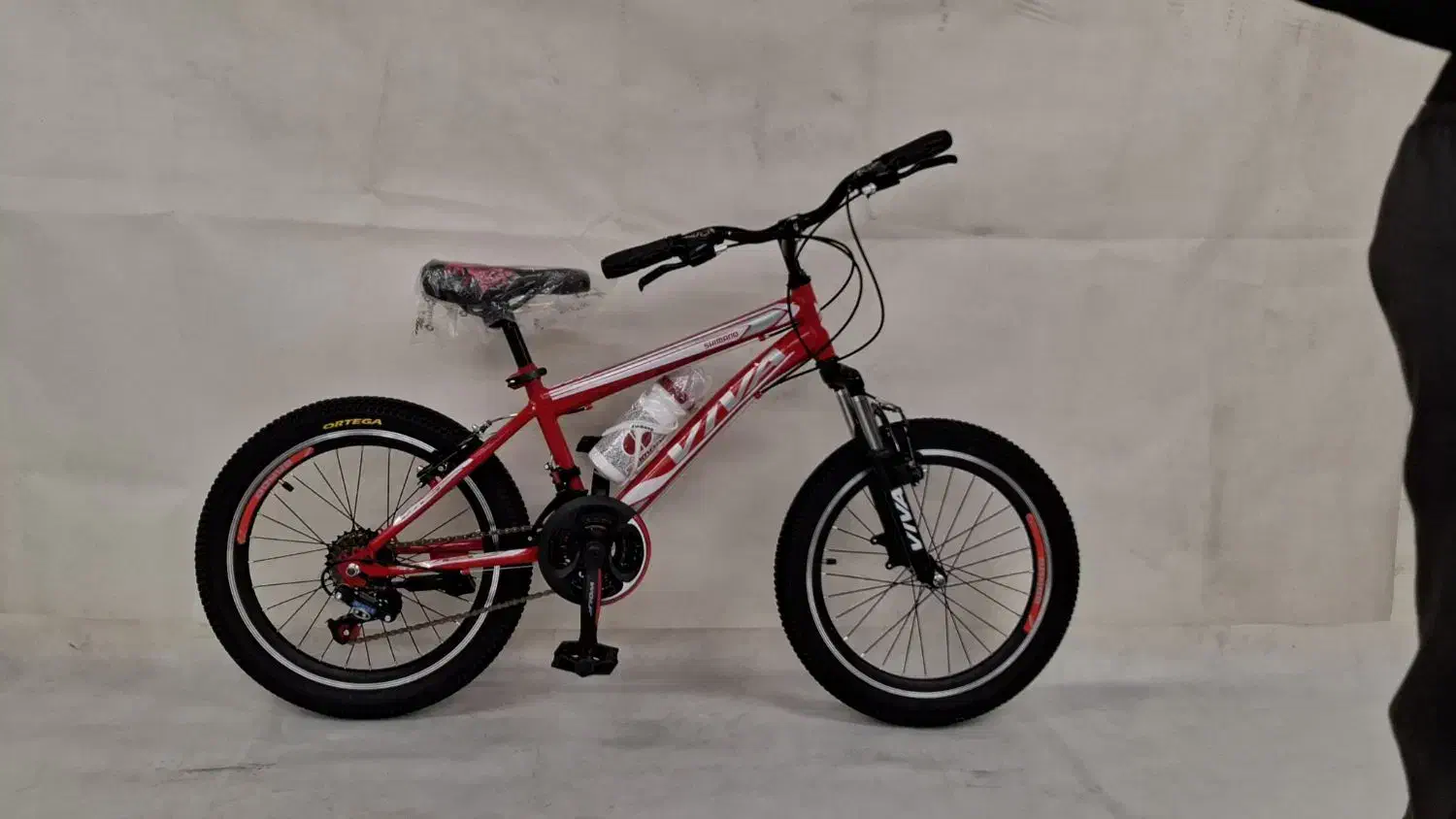 دوچرخه ۲۰ دندهه  دار|دوچرخه، اسکیت، اسکوتر|کرج, بنیاد|دیوار