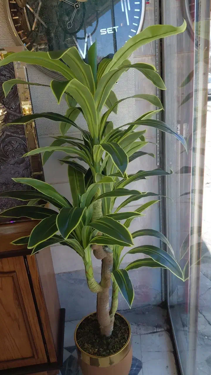 درختچه|گل مصنوعی|بروجرد, |دیوار