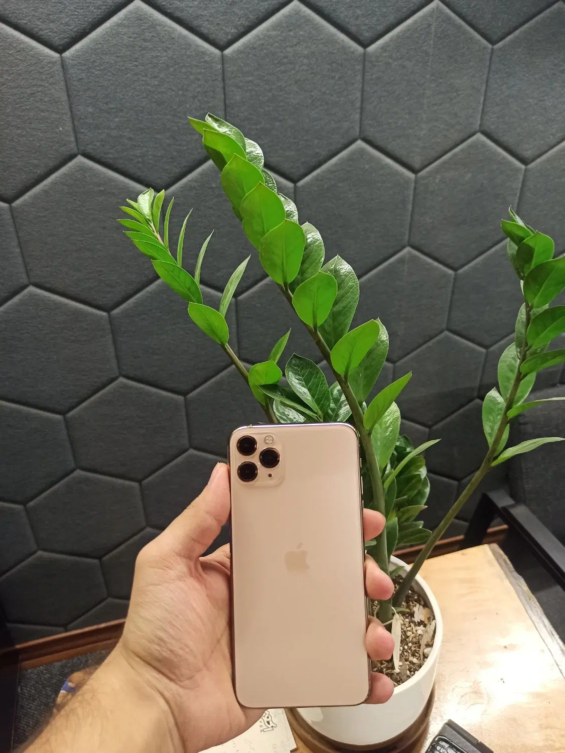 iPhone 11 Pro Max|موبایل|قم, امامزاده ابراهیم|دیوار