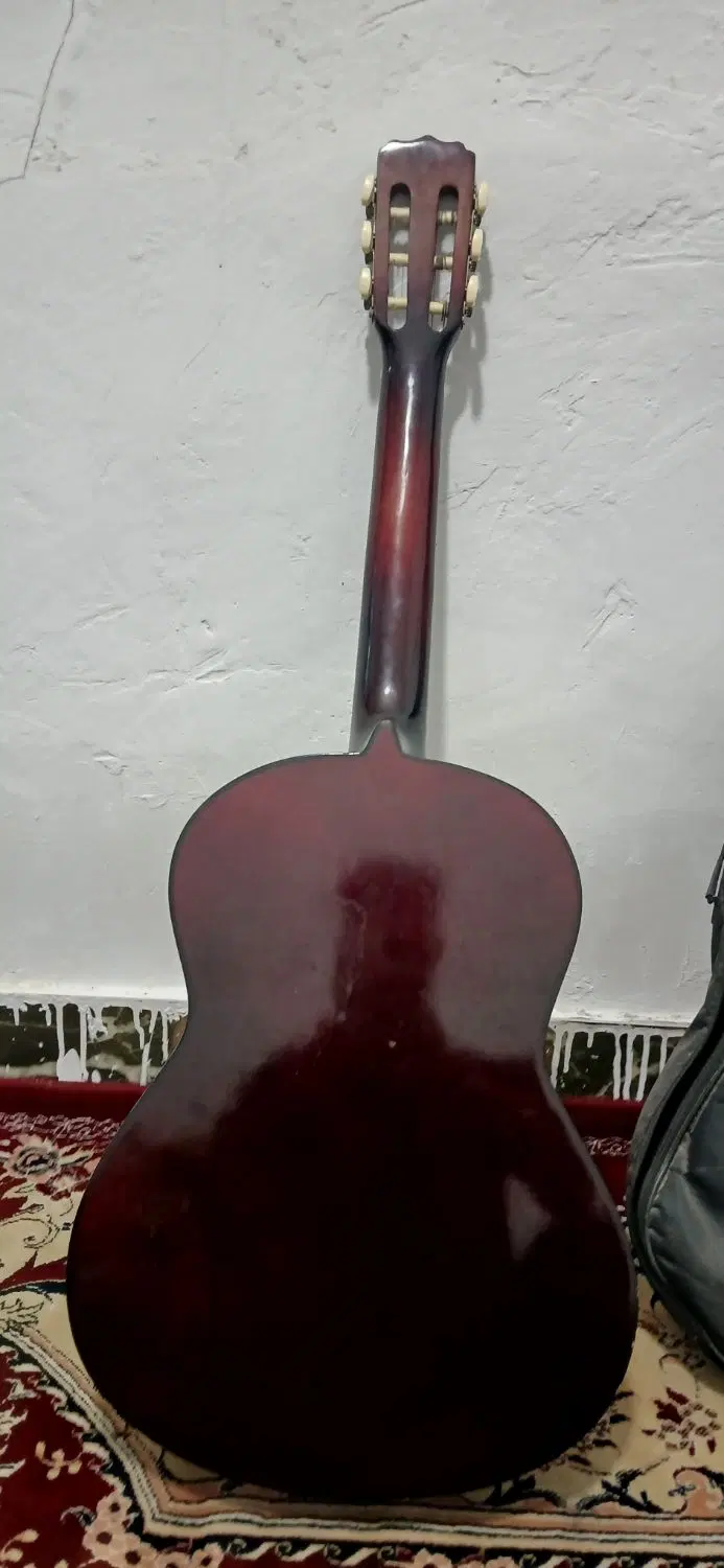 گیتار|گیتار، بیس، امپلیفایر|تربت جام, معدآباد|دیوار
