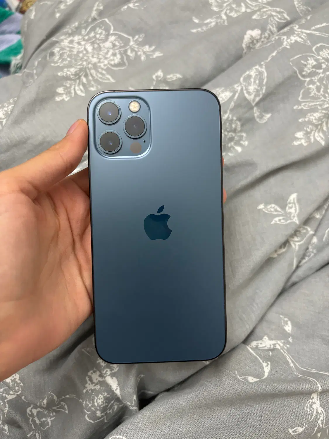 iPhone 12 pro|موبایل|بهشهر, |دیوار
