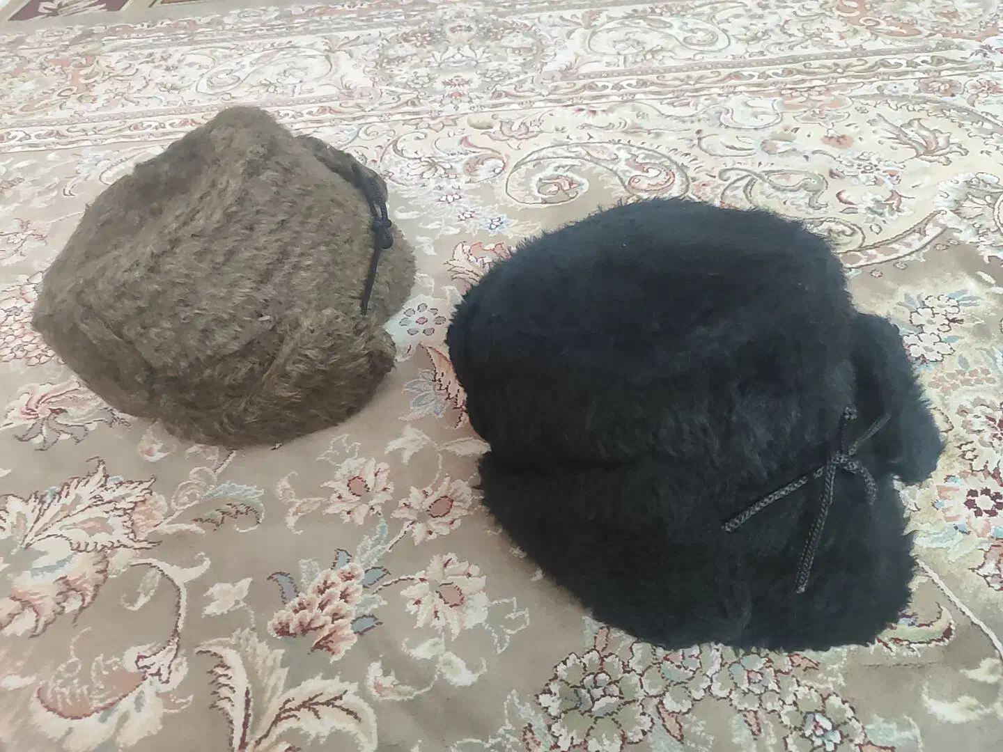 کلاه روسی|لباس|خمینیشهر, |دیوار