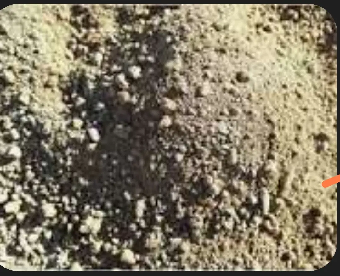 محمدآباد|فروش زمین و ملک کلنگی|خورموج, |دیوار