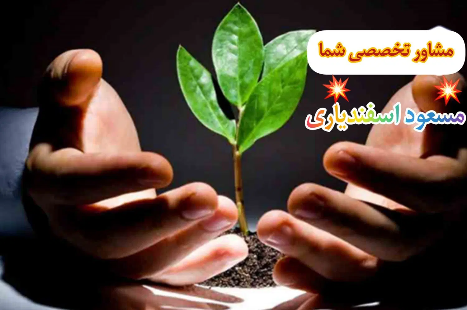 اعتیاد|خدمات آرایشگری و زیبایی|گرگان, |دیوار