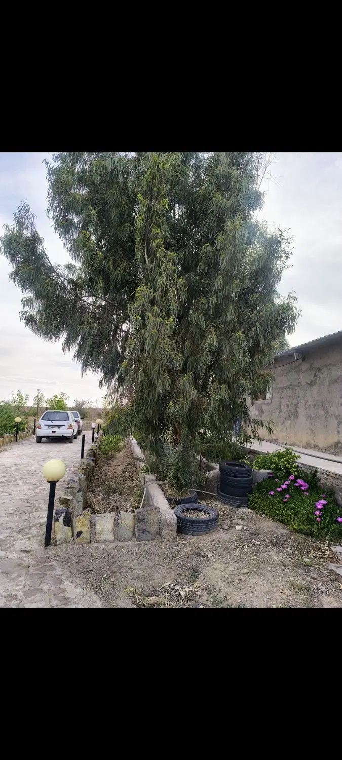 تصویر 7