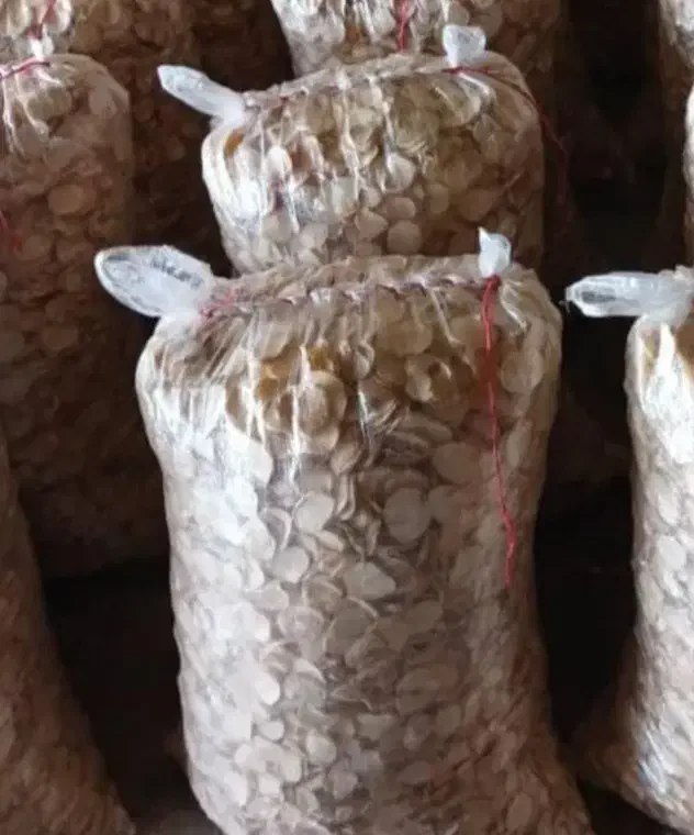 موسیر|خوردنی و آشامیدنی|اصفهان, باغ زرشک|دیوار