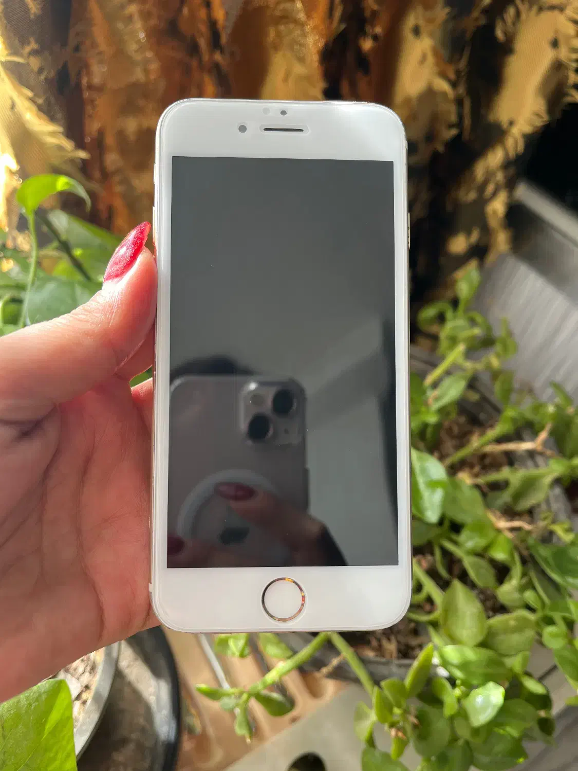 آیفون ۶|موبایل|مشهد, شهرک امام هادی (شهرک غرب)|دیوار