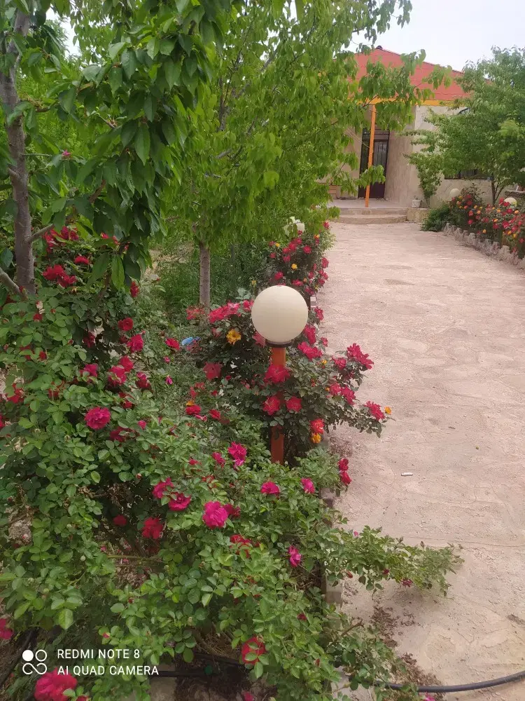 تصویر 12