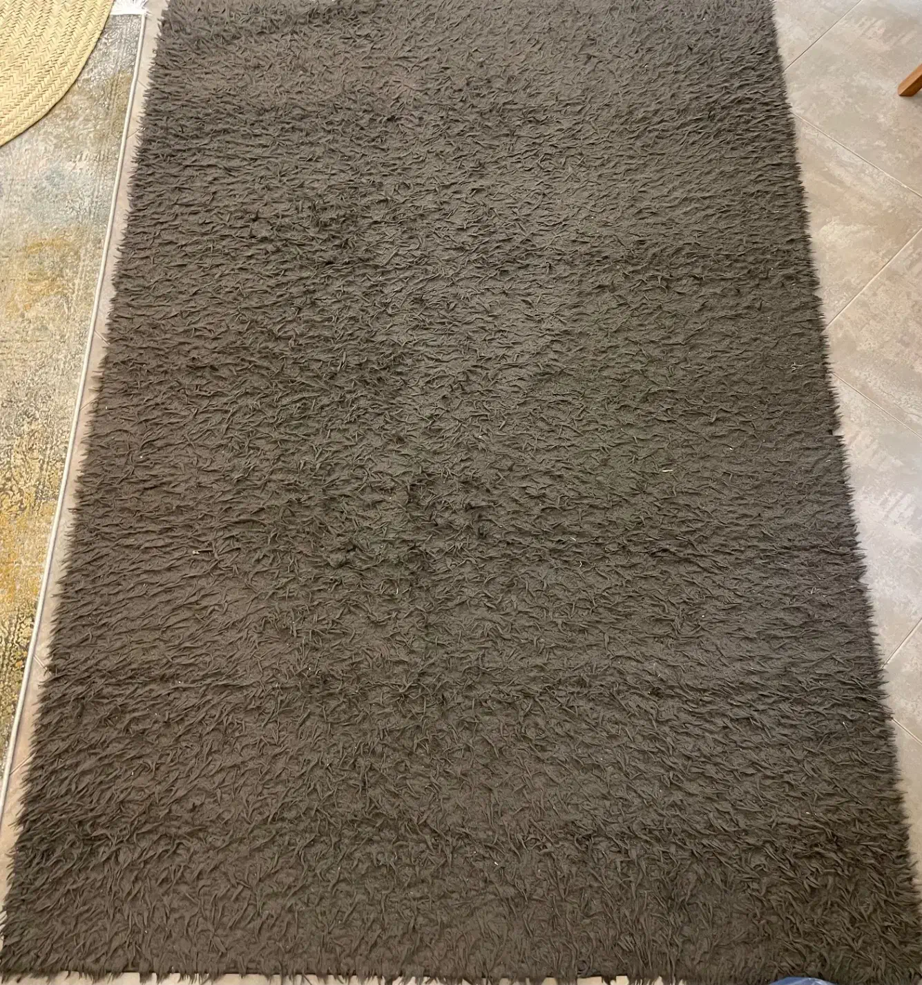 فرش شگی|فرش|ساری, |دیوار