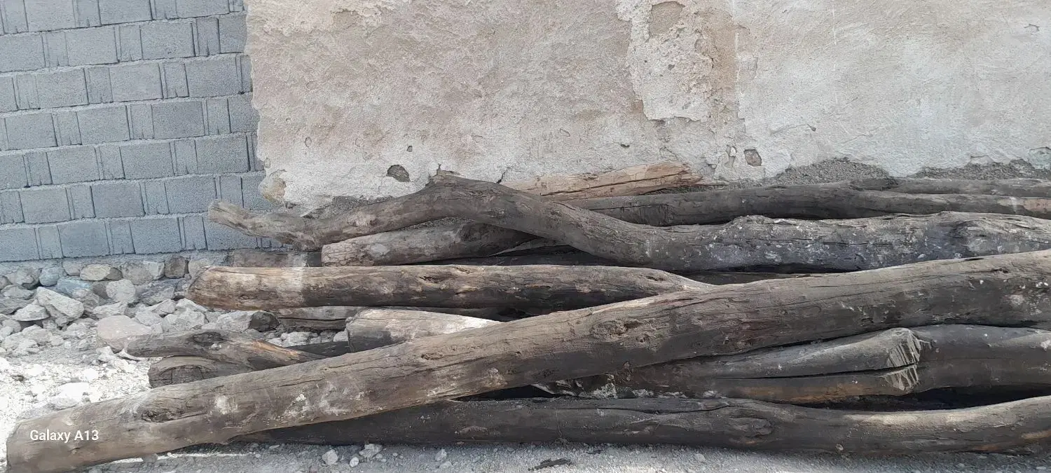 چوب گز|گل مصنوعی|خورموج, |دیوار