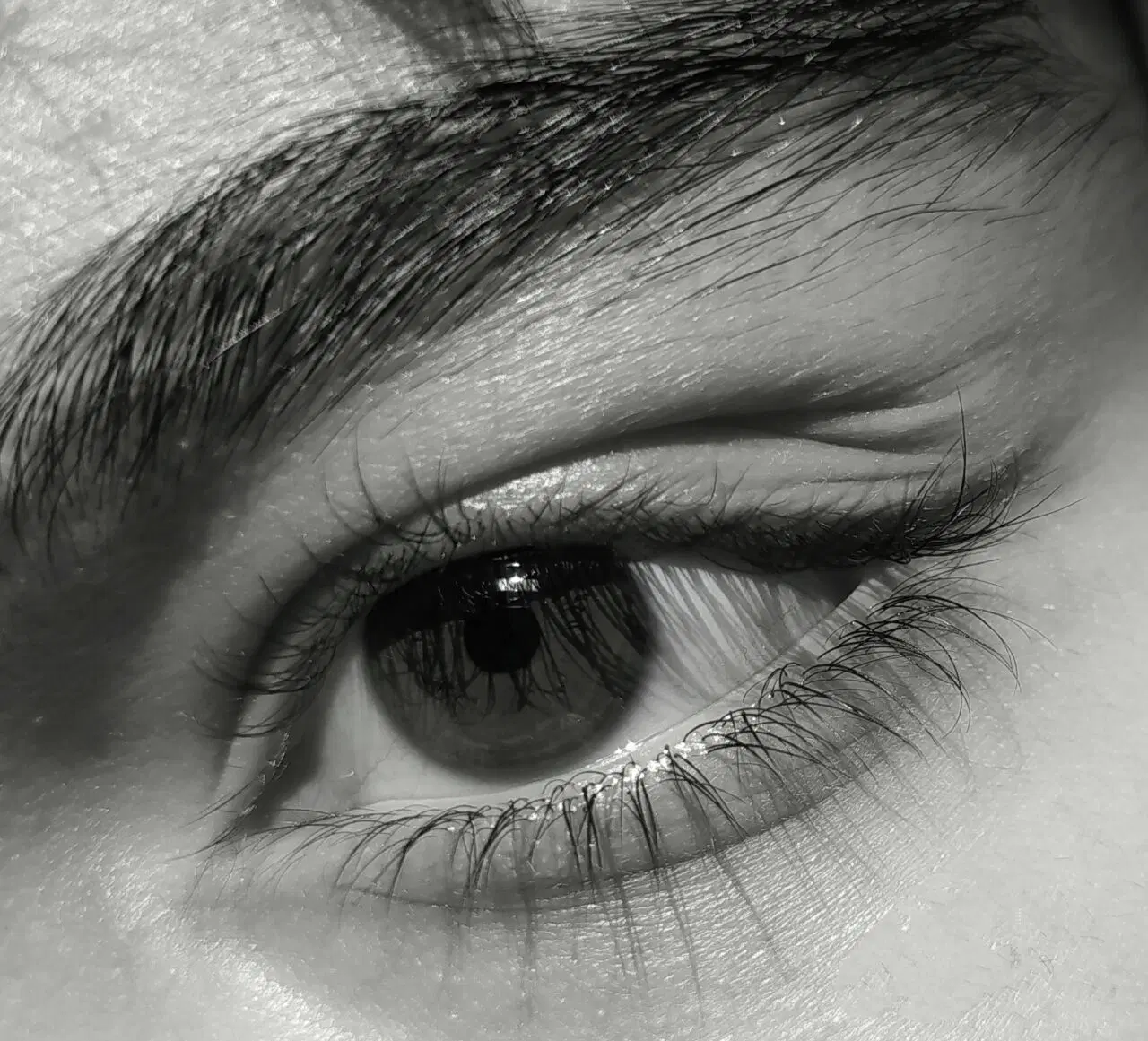 طراحی|تابلو، نقاشی، عکس|تاکستان, |دیوار