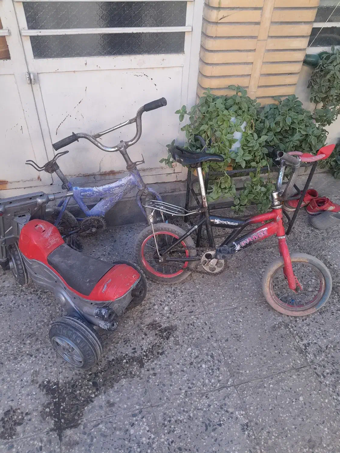 دوچرخه|دوچرخه، اسکیت، اسکوتر|زاهدان, |دیوار