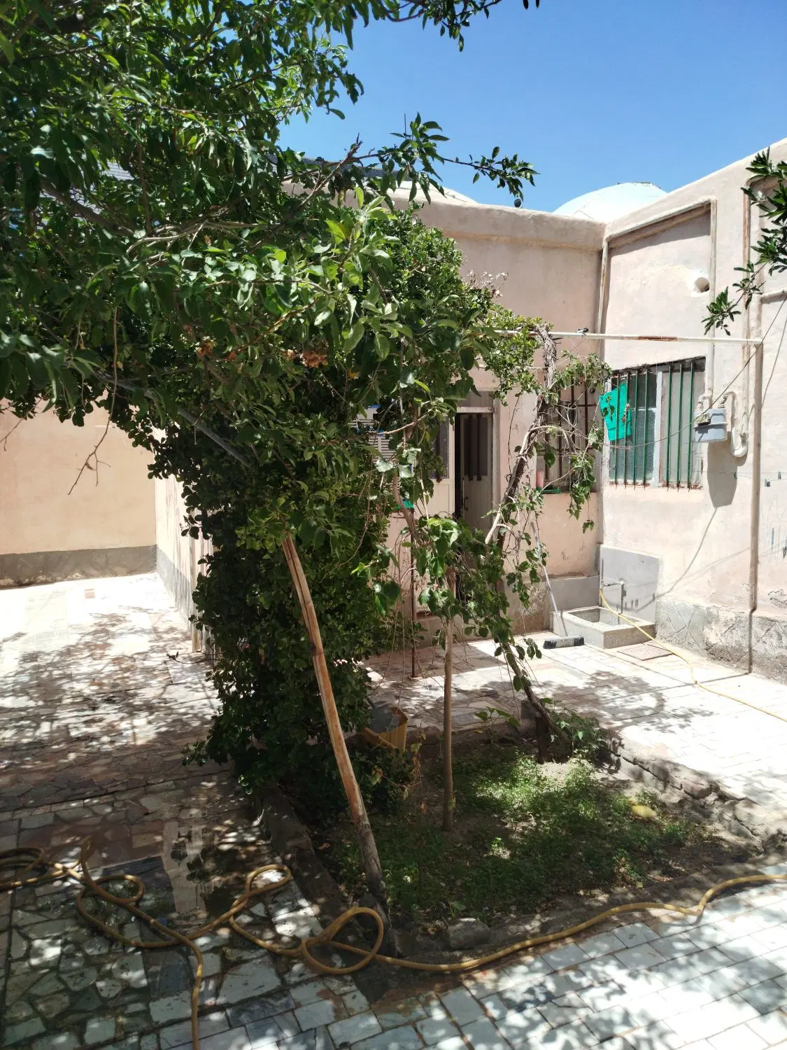 تصویر 3
