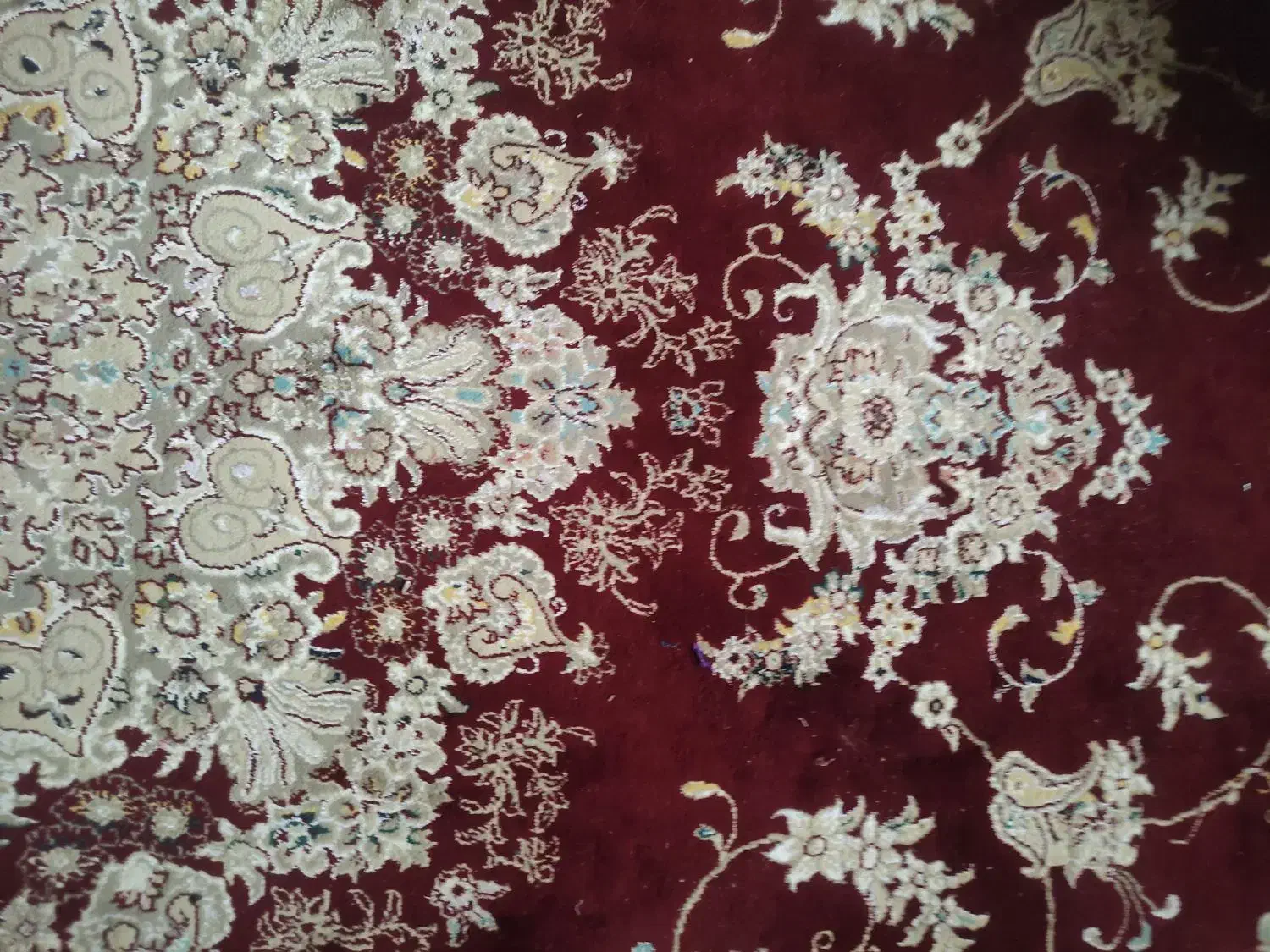 فرش 12متری|فرش|گرگان, |دیوار