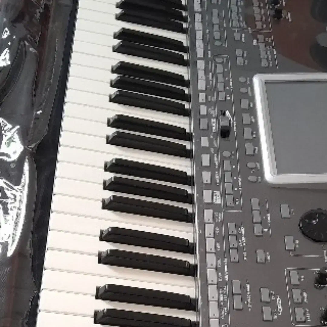 pa3xle|گیتار، بیس، امپلیفایر|شیراز, چوگیاه‎|دیوار