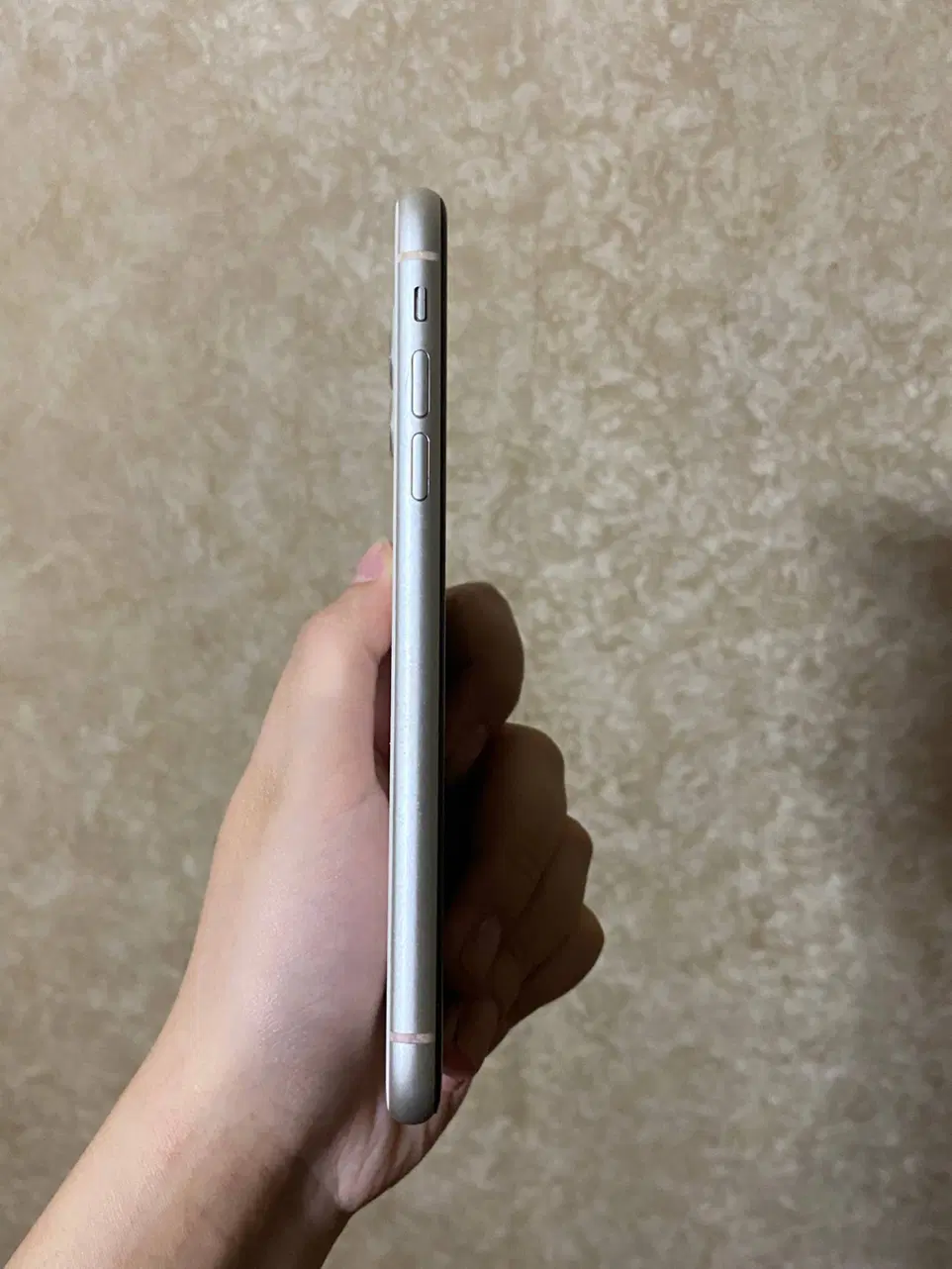 iPhone 11|موبایل|تبریز, |دیوار