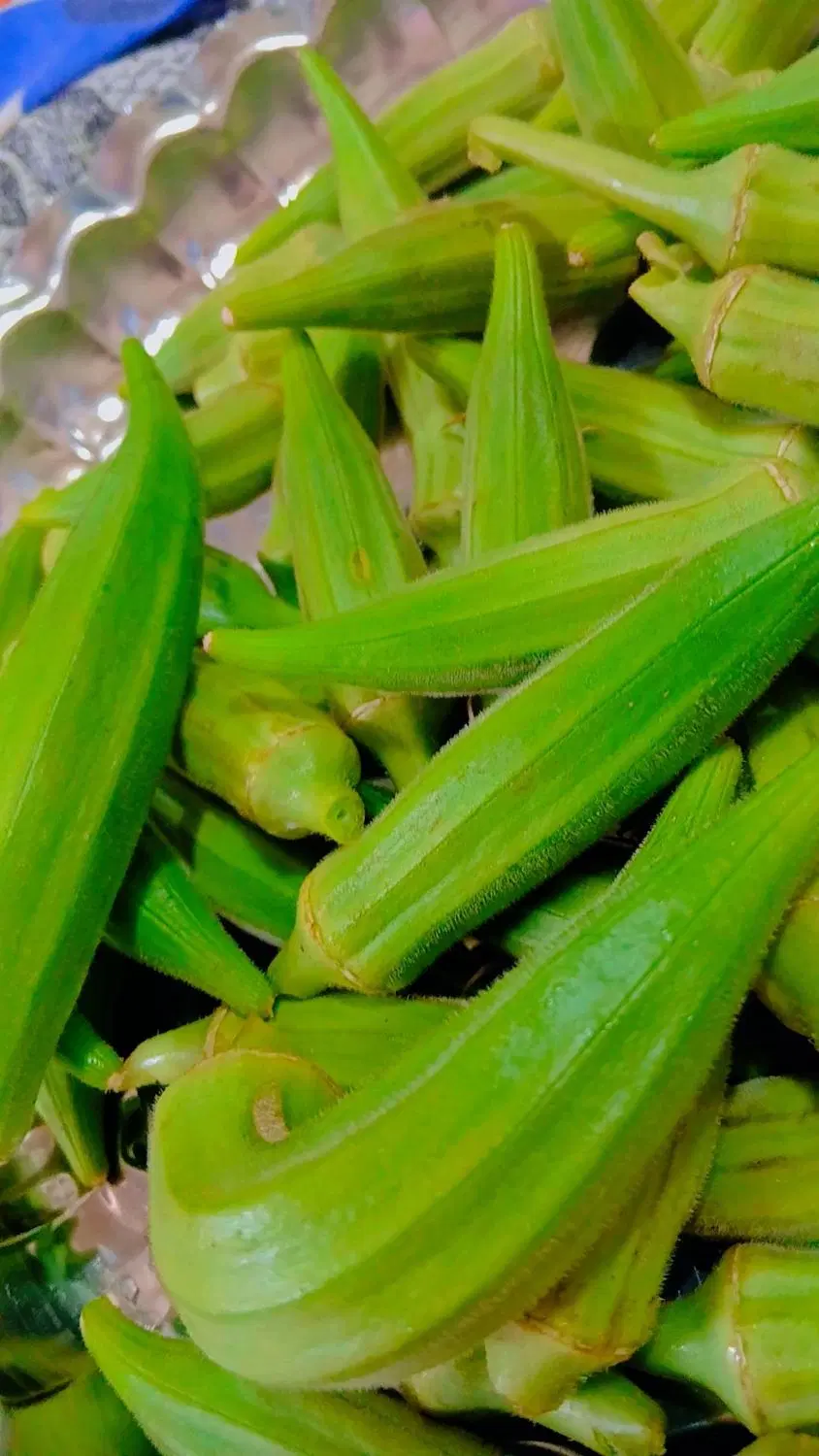 بامیه|خوردنی و آشامیدنی|گرگان, |دیوار