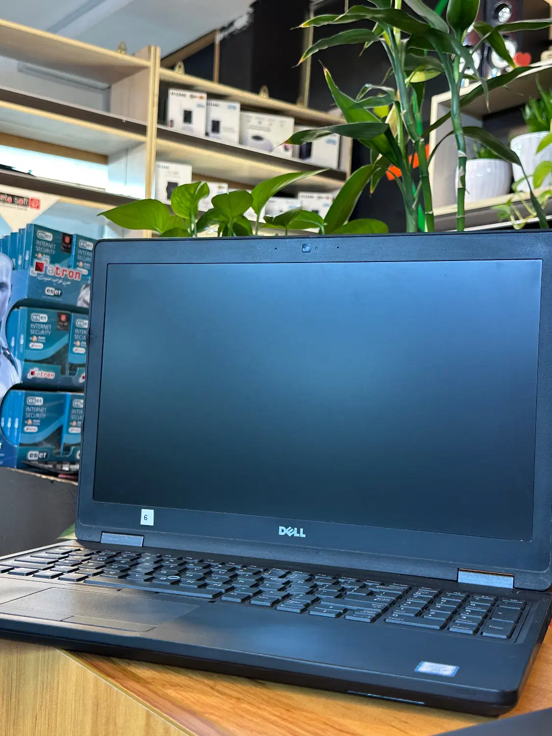 Dell|رایانه همراه|شیراز, ملاصدرا|دیوار