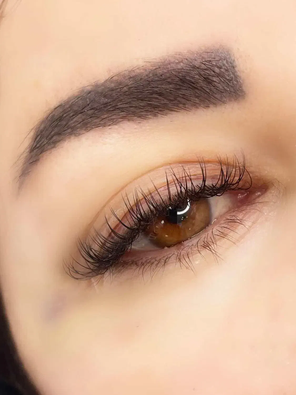 مدل رایگان|خدمات آرایشگری و زیبایی|مشهد, دانشجو|دیوار