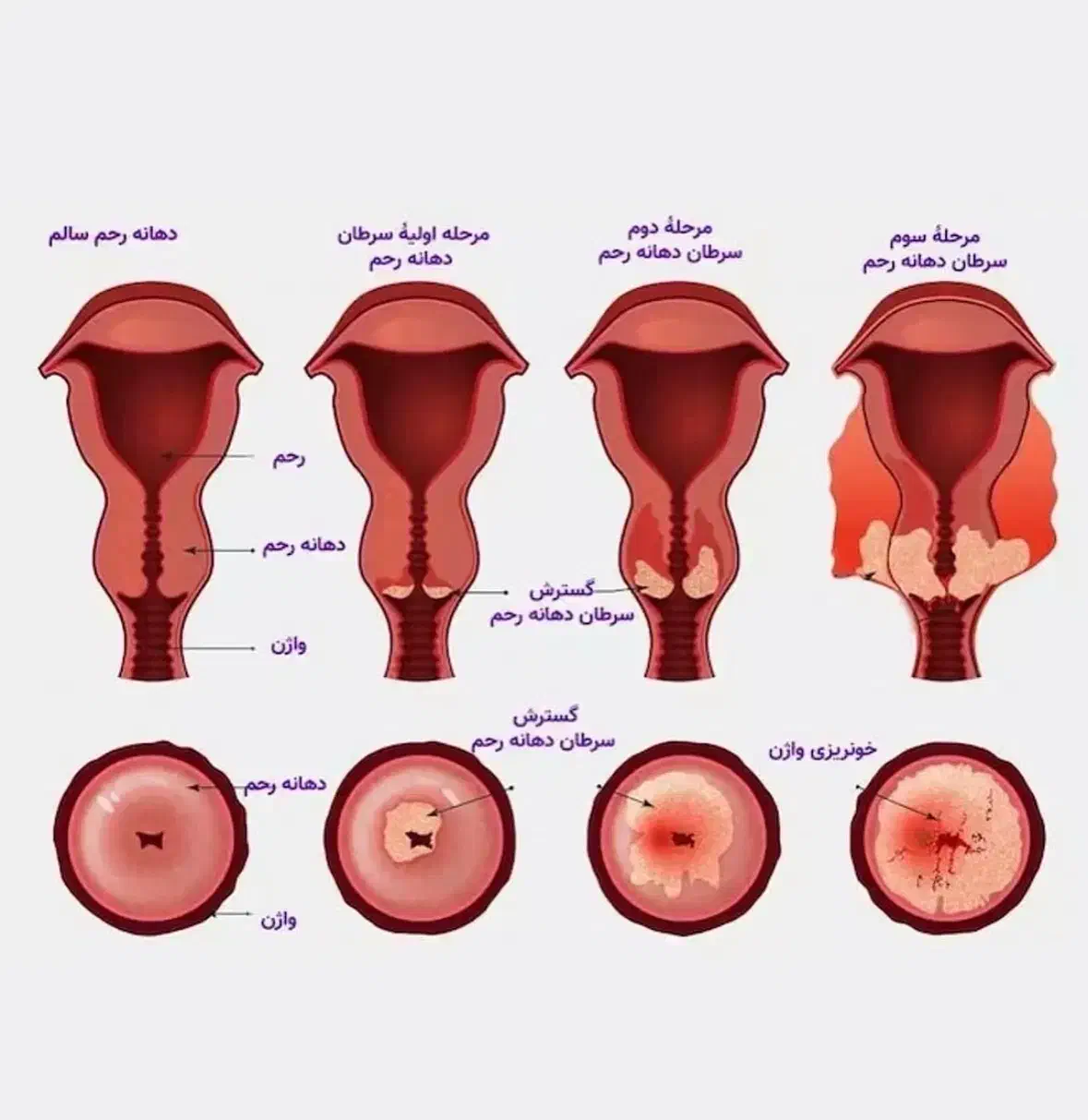 این همه راه نشد این راه انتخاب کن|خدمات آرایشگری و زیبایی|ساری, |دیوار