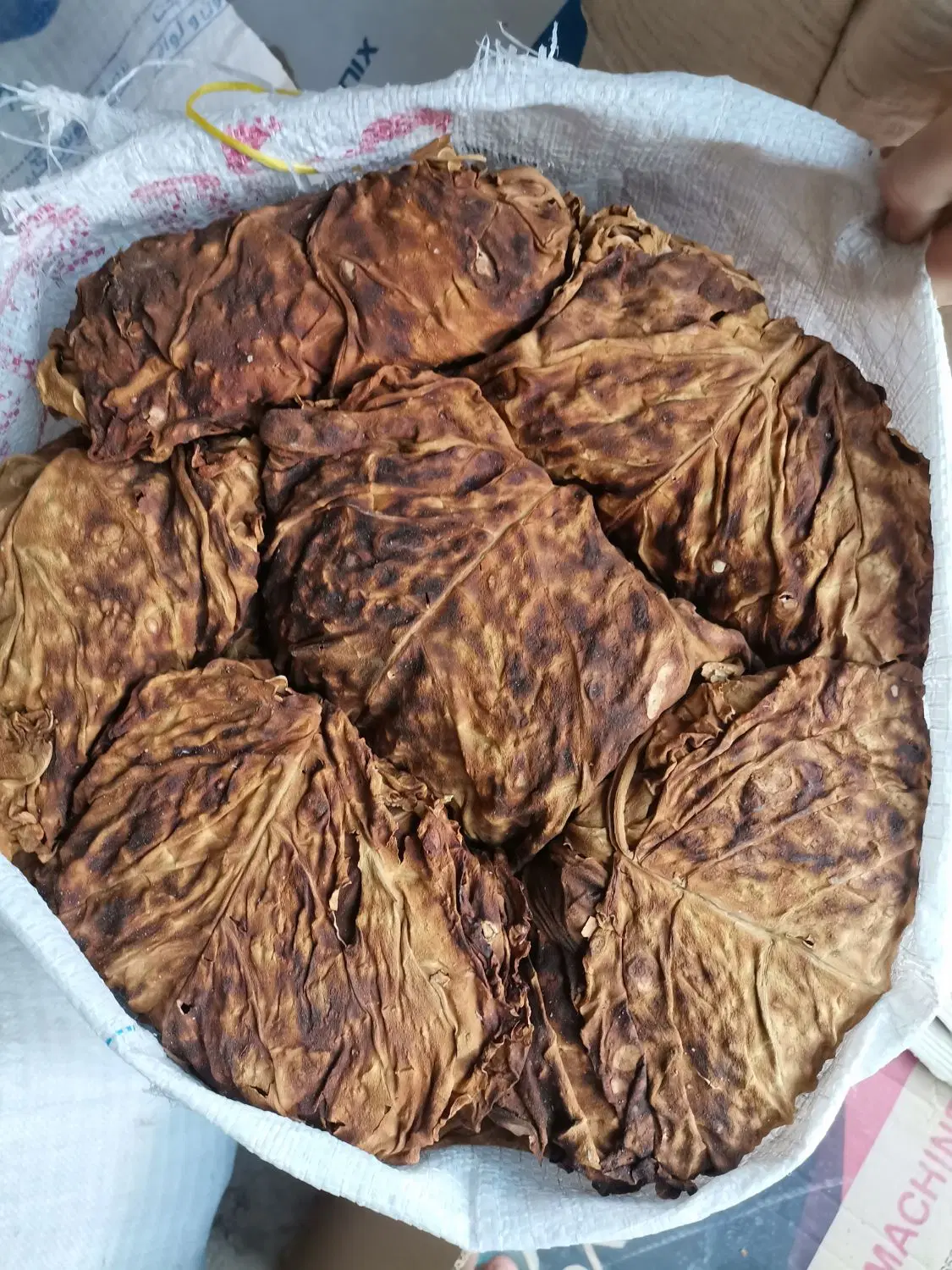 برگ زرد|خوردنی و آشامیدنی|بوشهر, |دیوار