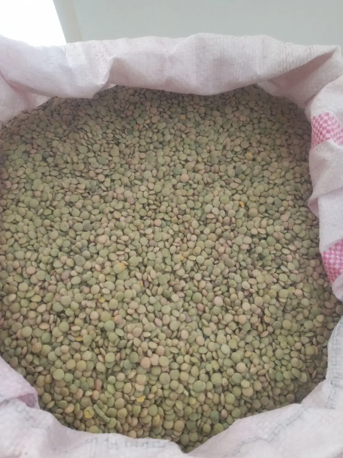 عدس|خوردنی و آشامیدنی|شیروان (خراسان), |دیوار