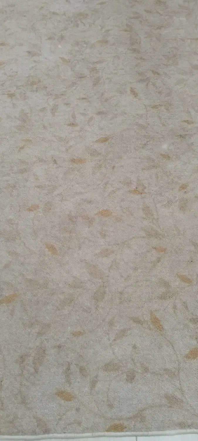 گلیم فرش ۶ متری|گلیم، جاجیم، گبه|کرمانشاه, |دیوار