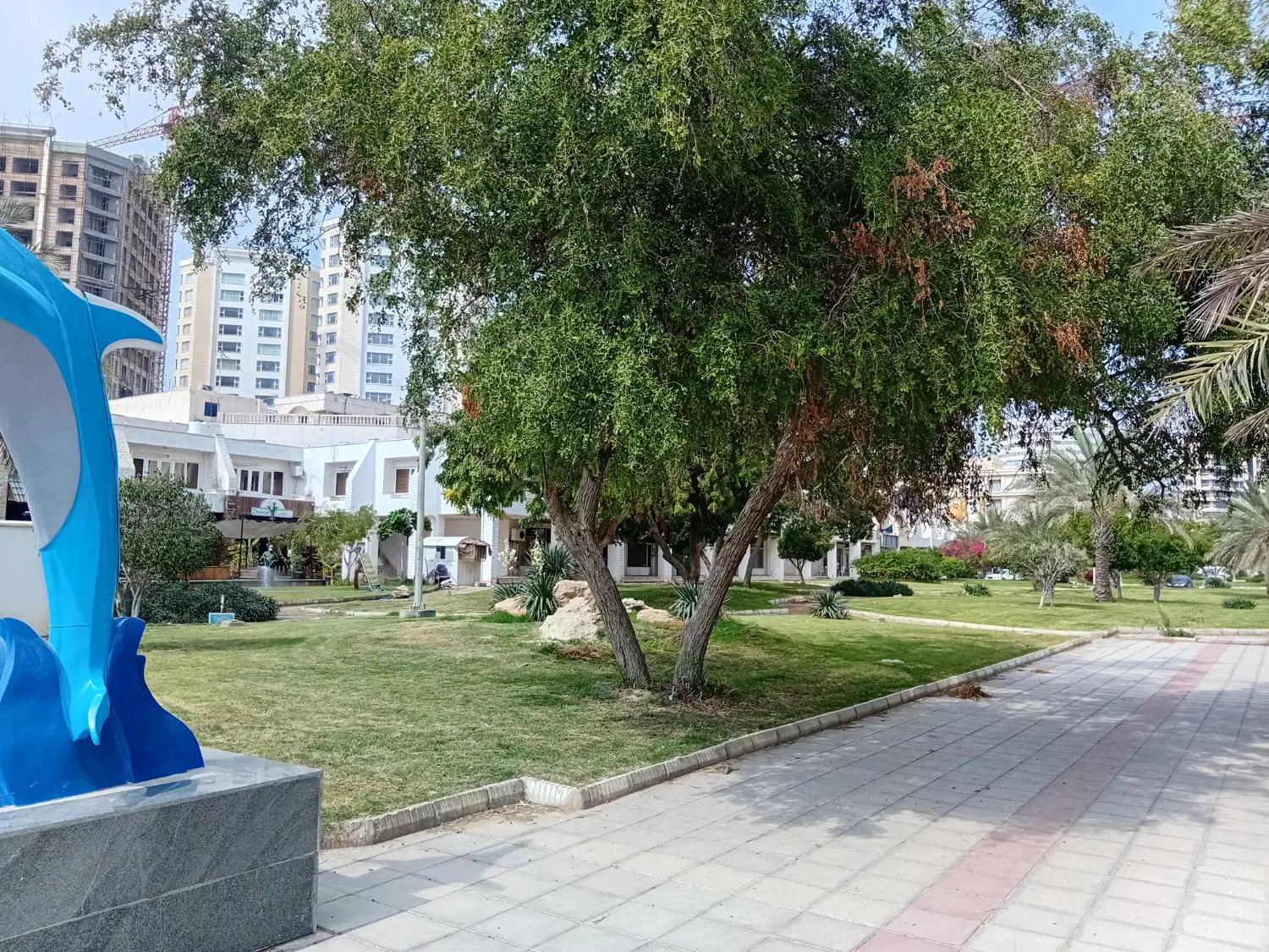 تصویر 13