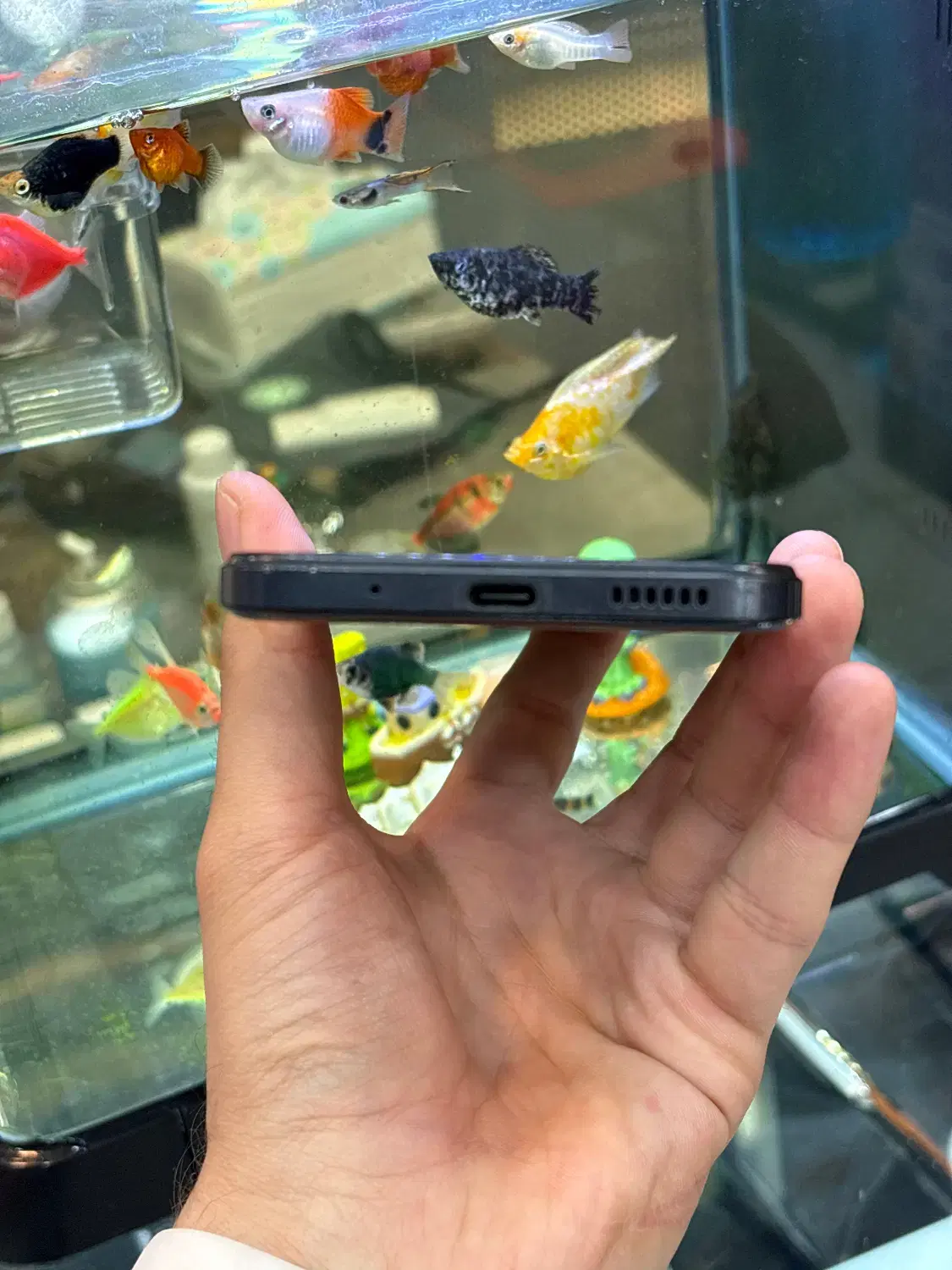Poco M5|موبایل|شیراز, زند|دیوار