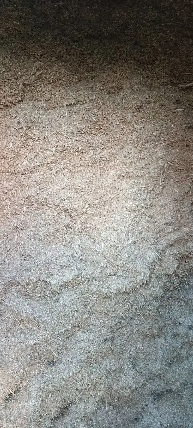 سامان|لوازم جانبی حیوانات|گرمی, |دیوار