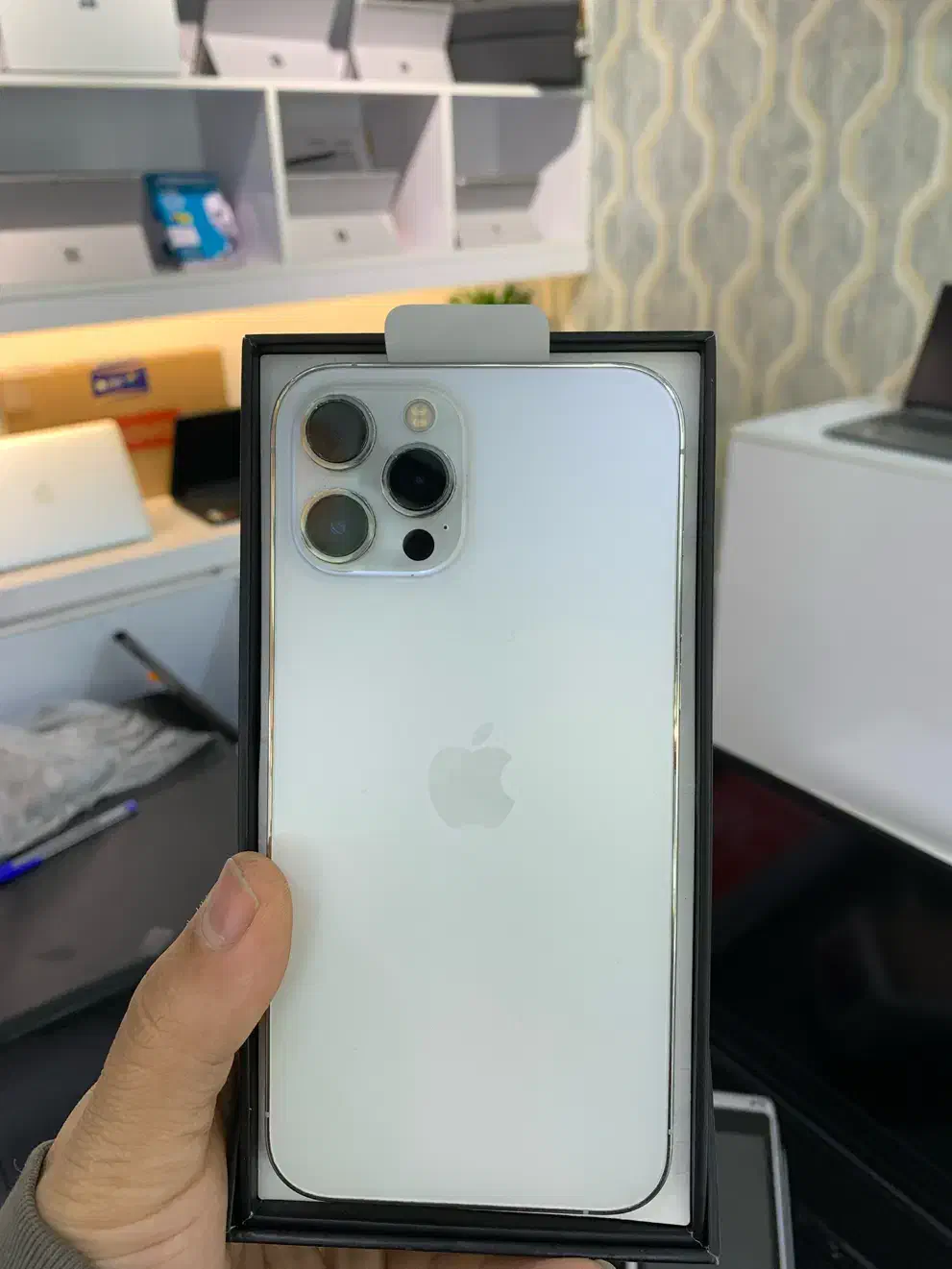 12 promax 128 zaa|موبایل|رشت, منظریه|دیوار