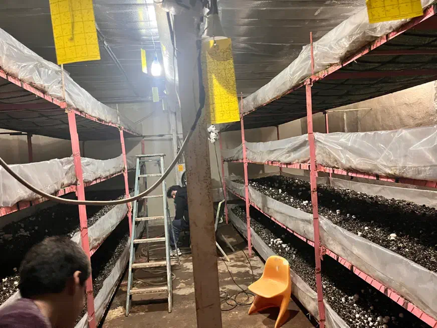 قفسه|ابزارآلات|مشهد, عسگریه|دیوار