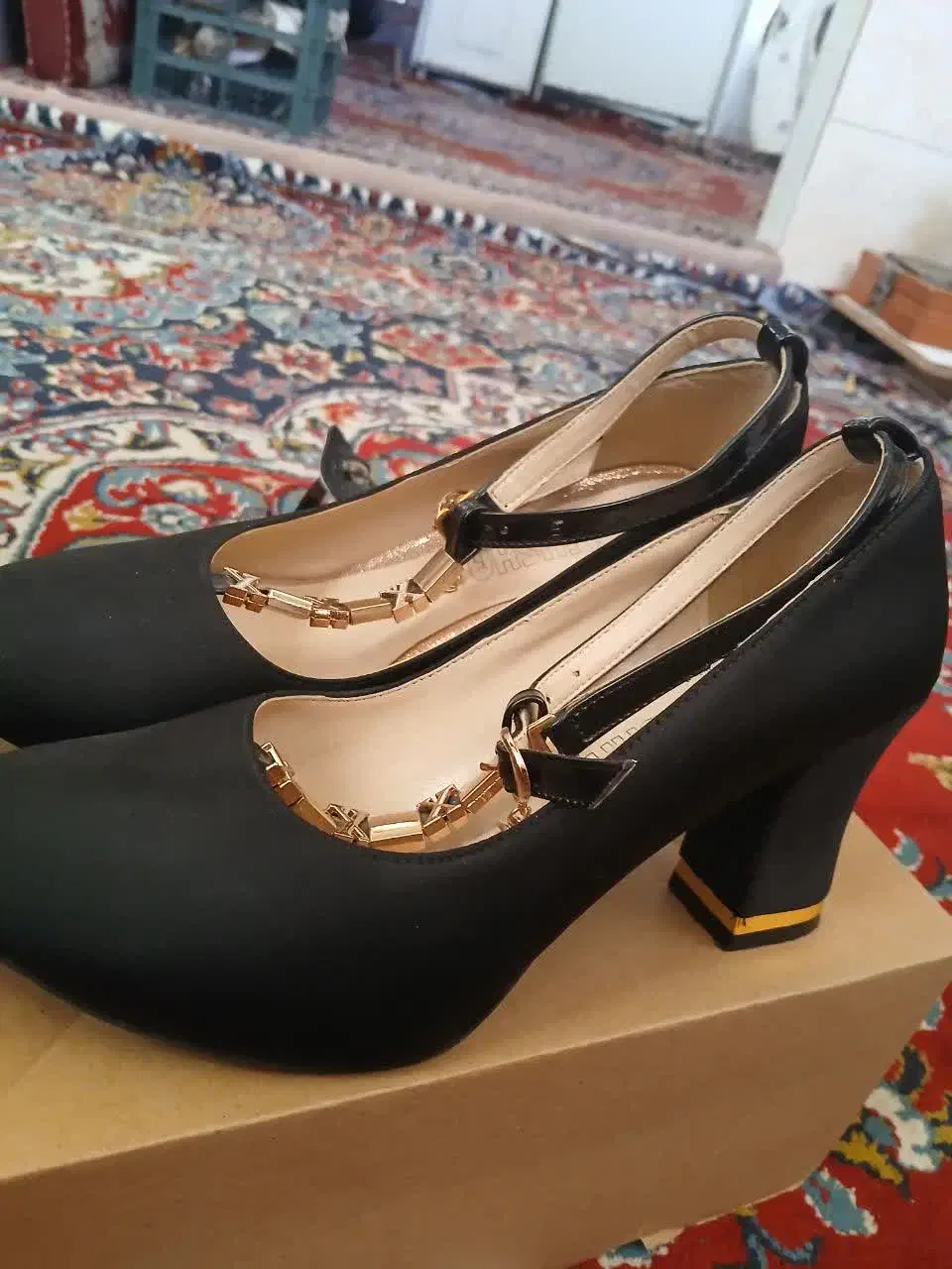 کفش مجلسی|کیف، کفش، کمربند|قم, شهر قائم|دیوار