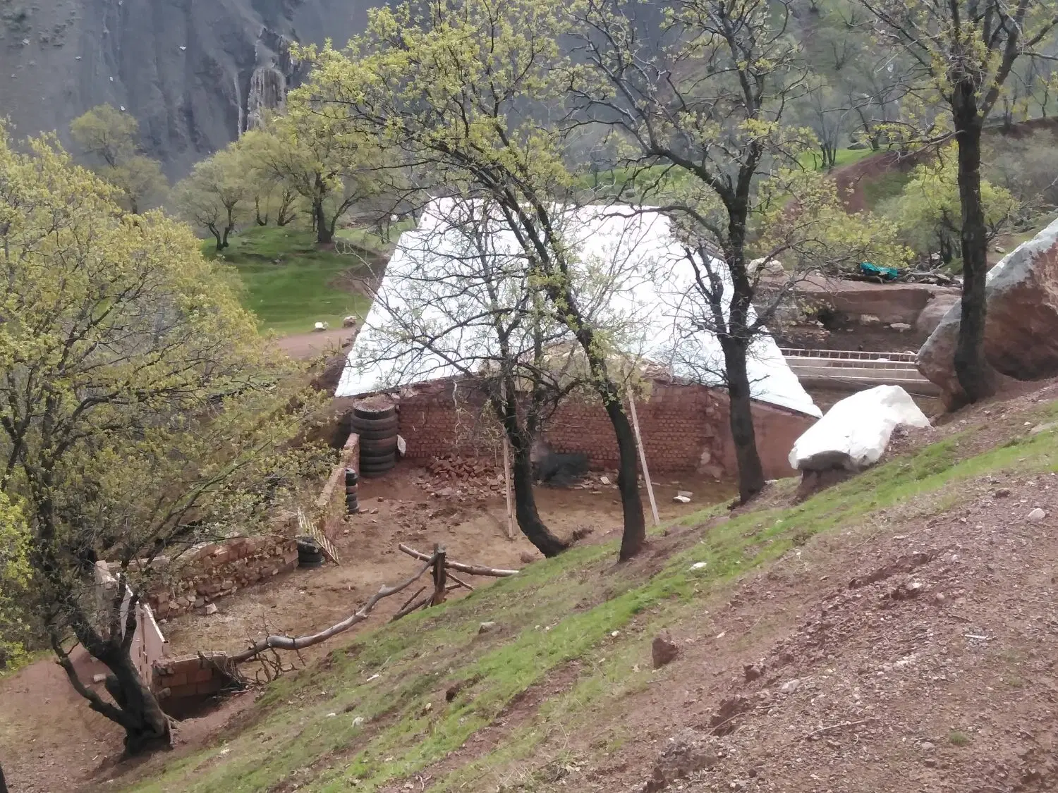 گاوداری|فروش دفتر صنعتی، کشاورزی، تجاری|پاپی, |دیوار