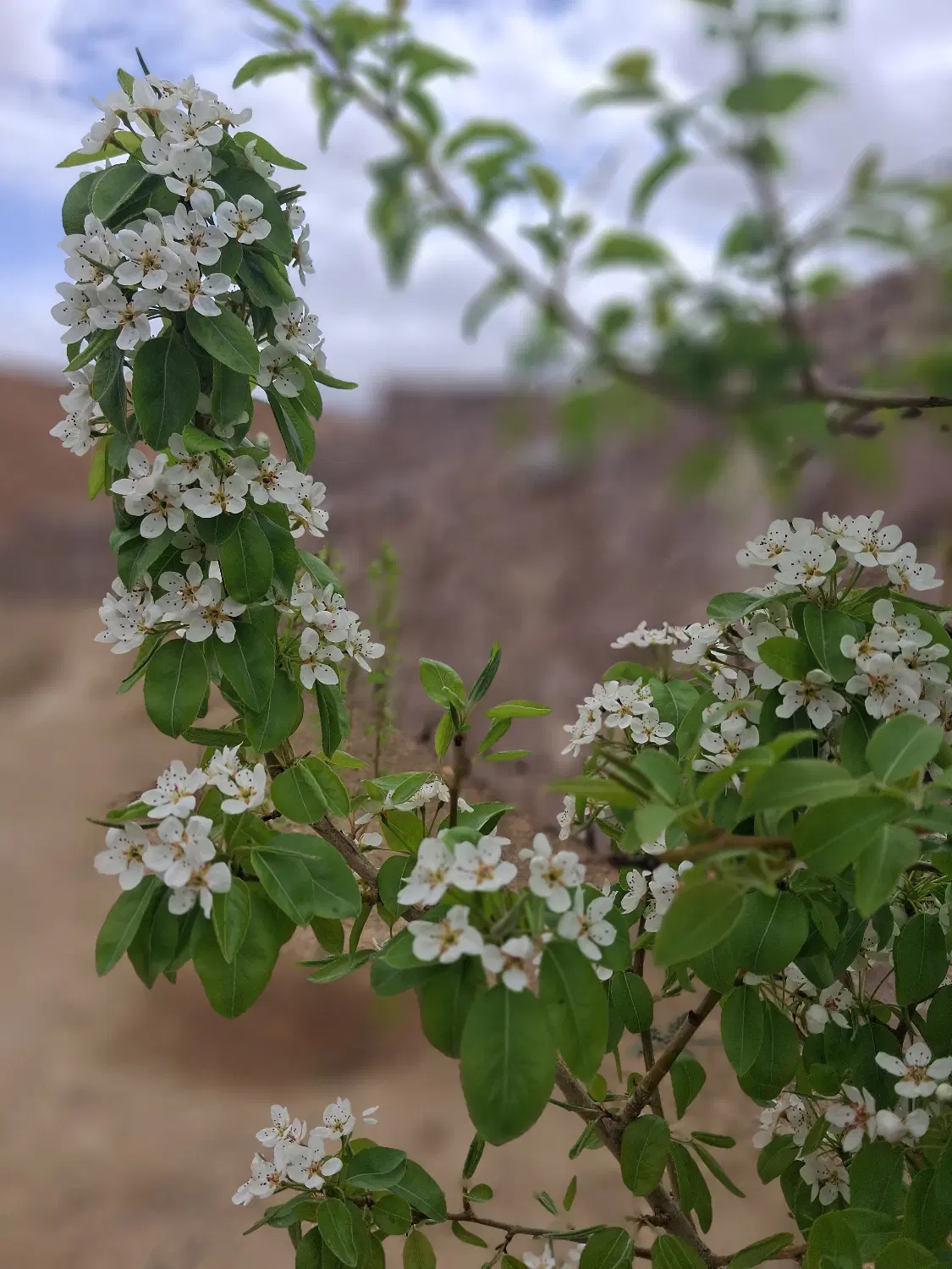 تصویر 5