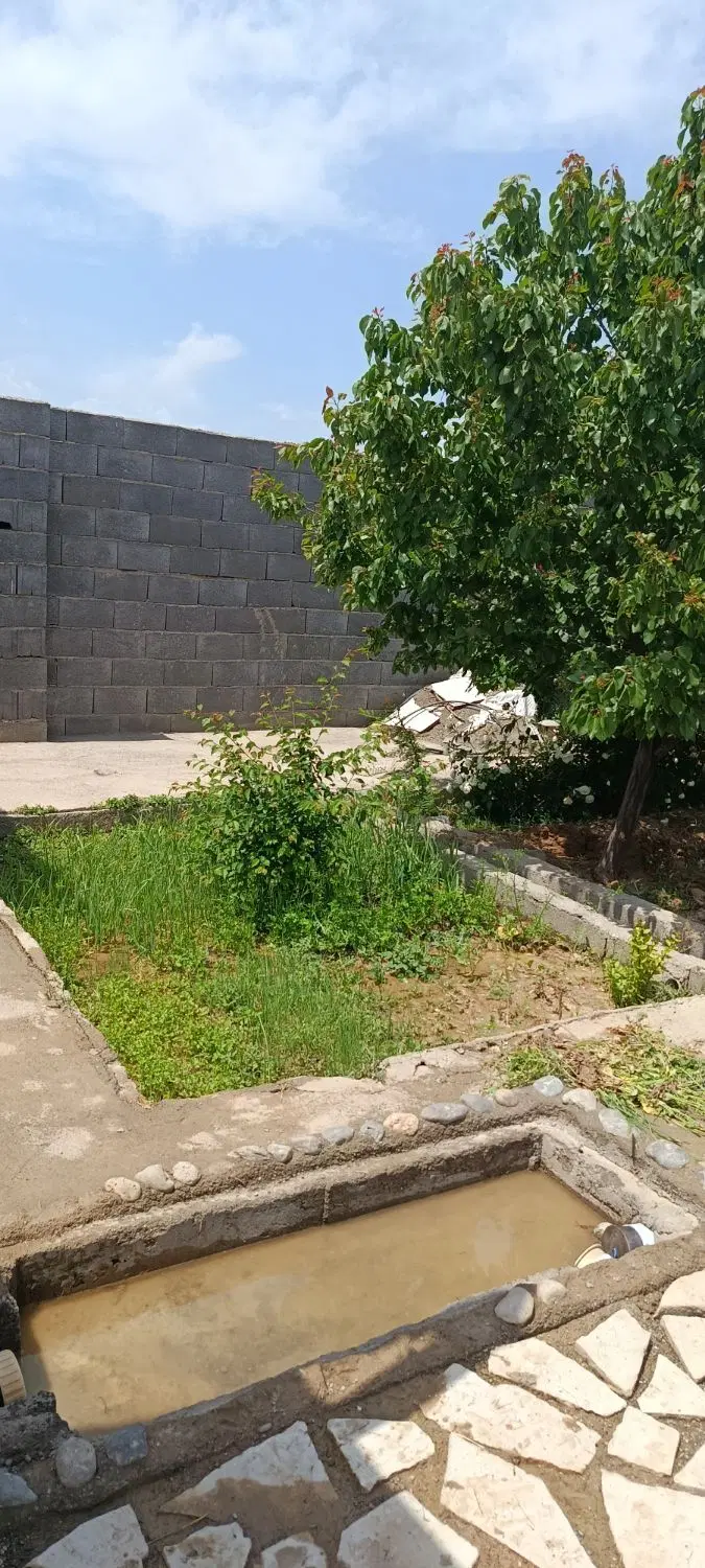 تصویر 6