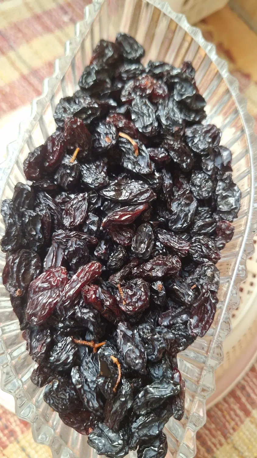مویز|خوردنی و آشامیدنی|کرج, مهرویلا شمالی|دیوار