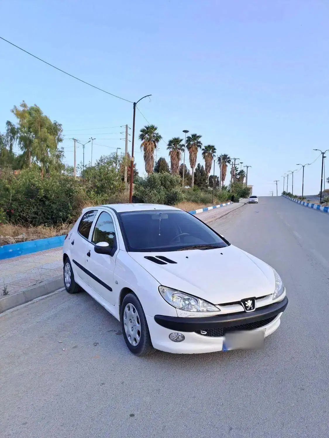 206 تیپ دو|خودرو سواری و وانت|دوگنبدان, |دیوار