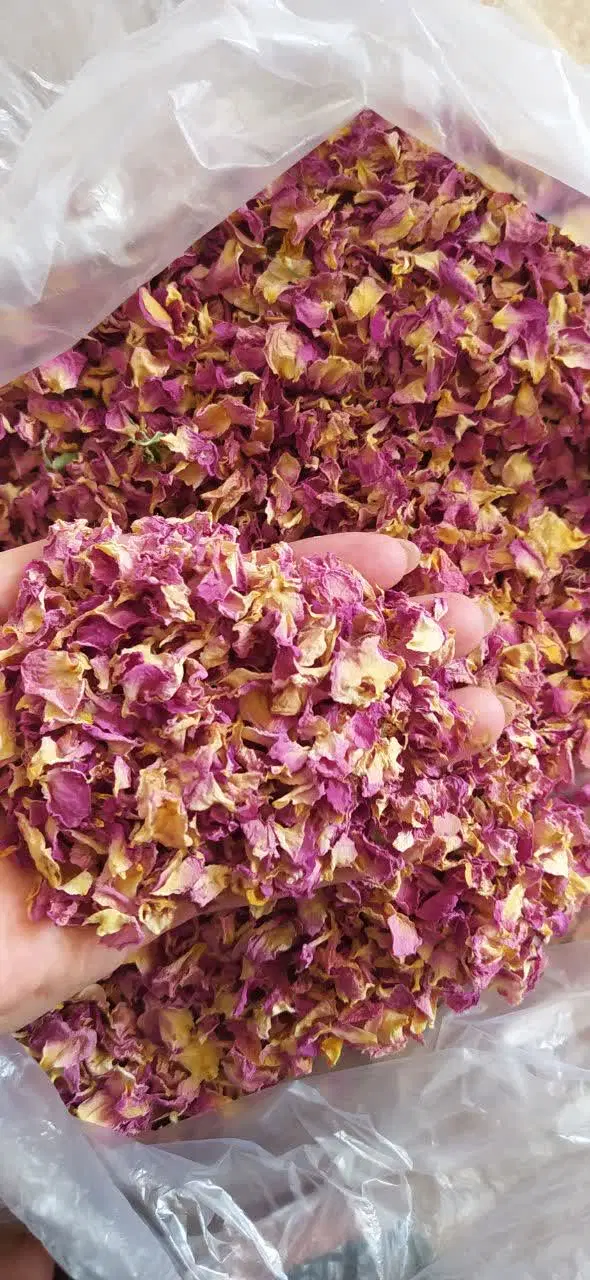 گل محمدی|خوردنی و آشامیدنی|خرمدره, |دیوار