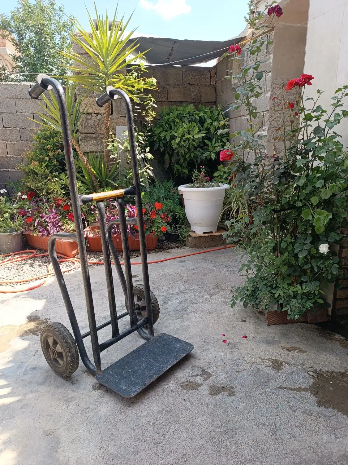 چرخ دستی|فروشگاه و مغازه|گنبد کاووس, |دیوار