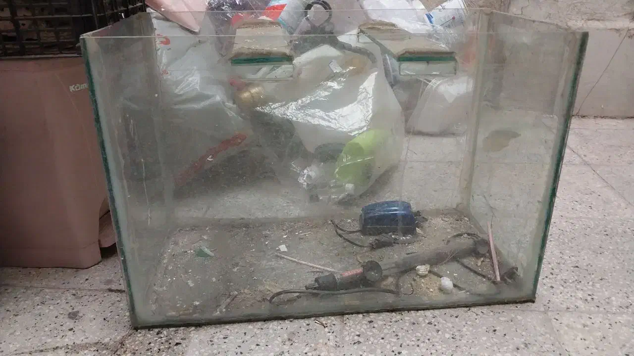 آکواریوم|ماهی|مشهد, ابوذر|دیوار